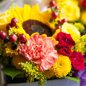 Fundraising Page: Cindy Mark